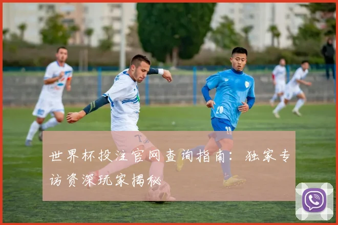 世界杯投注官网查询指南：独家专访资深玩家揭秘