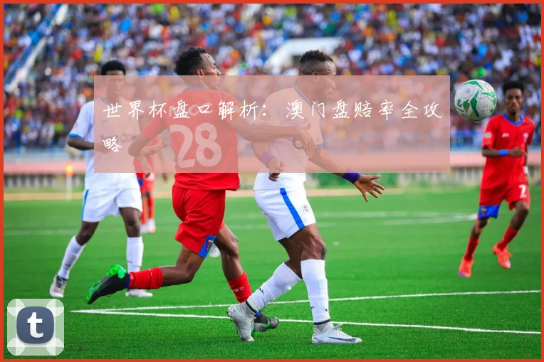 世界杯盘口解析：澳门盘赔率全攻略