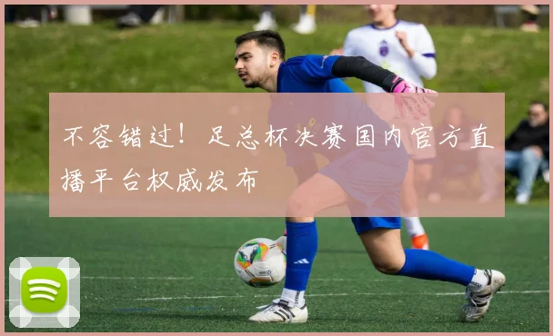 不容错过！足总杯决赛国内官方直播平台权威发布