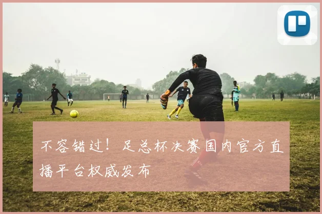 不容错过!足总杯决赛国内官方直播平台权威发布
