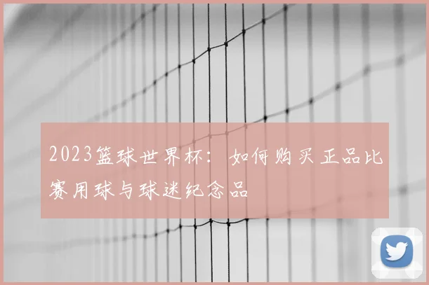 2023篮球世界杯：如何购买正品比赛用球与球迷纪念品